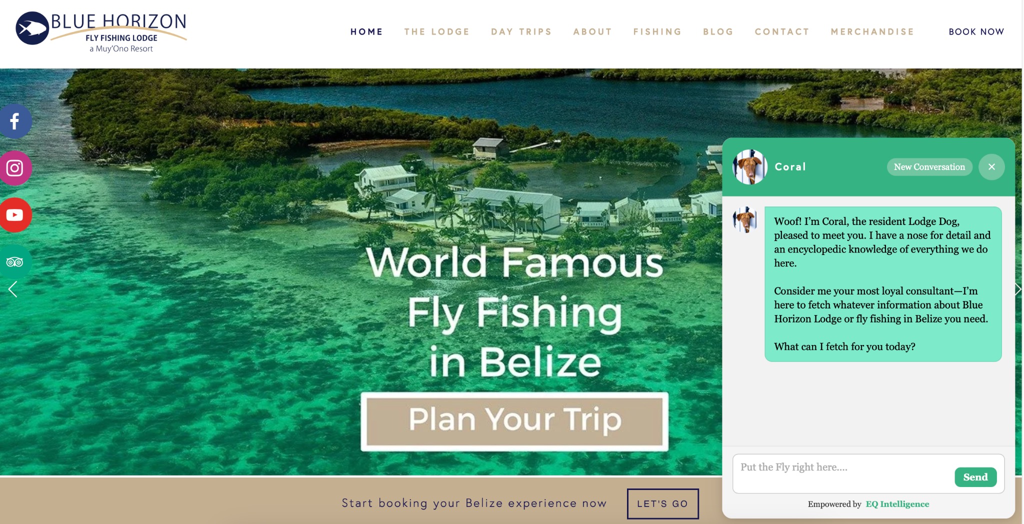 Blue Horizon Fly Fishing Lodge with EQAI AI Partner
